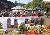 Herbstfest mit Vielfalt