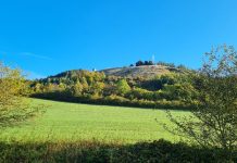 Unterweid: Naturkundliche Wanderung am Grünen Band